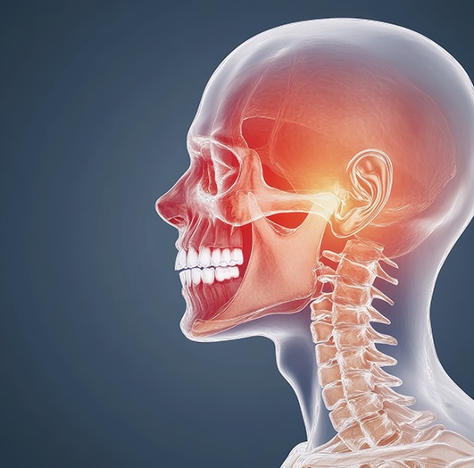 a model of a skeleton with the jaw joints highlighted in red